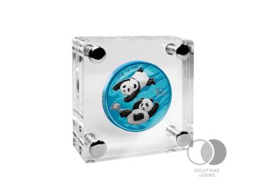 30gr 999 Silber China Panda 2022 40 Jahre - Coin wählbar im ACRYL BLOCK